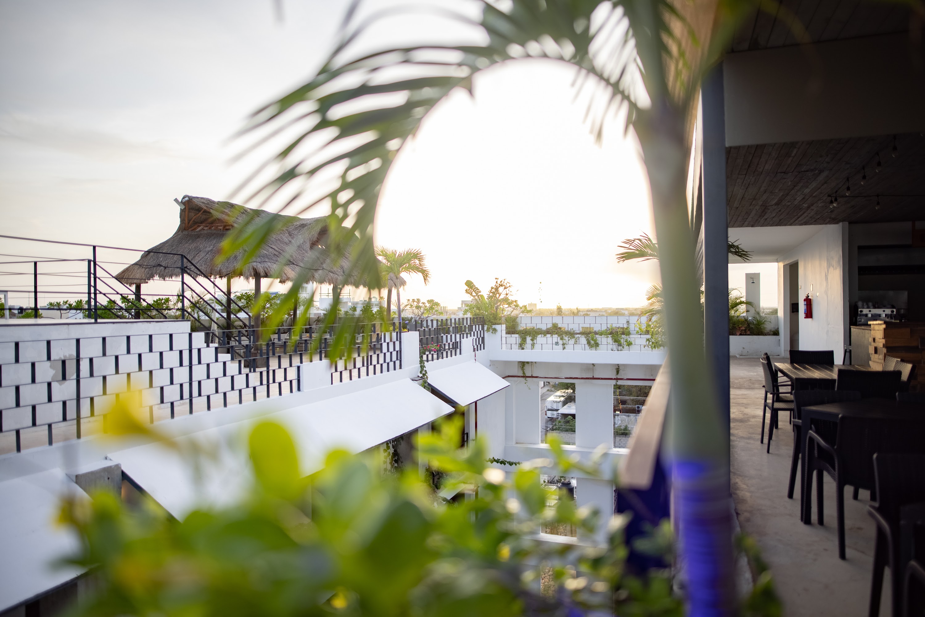 Rooftop Terrace with Palm Trees at Sunset