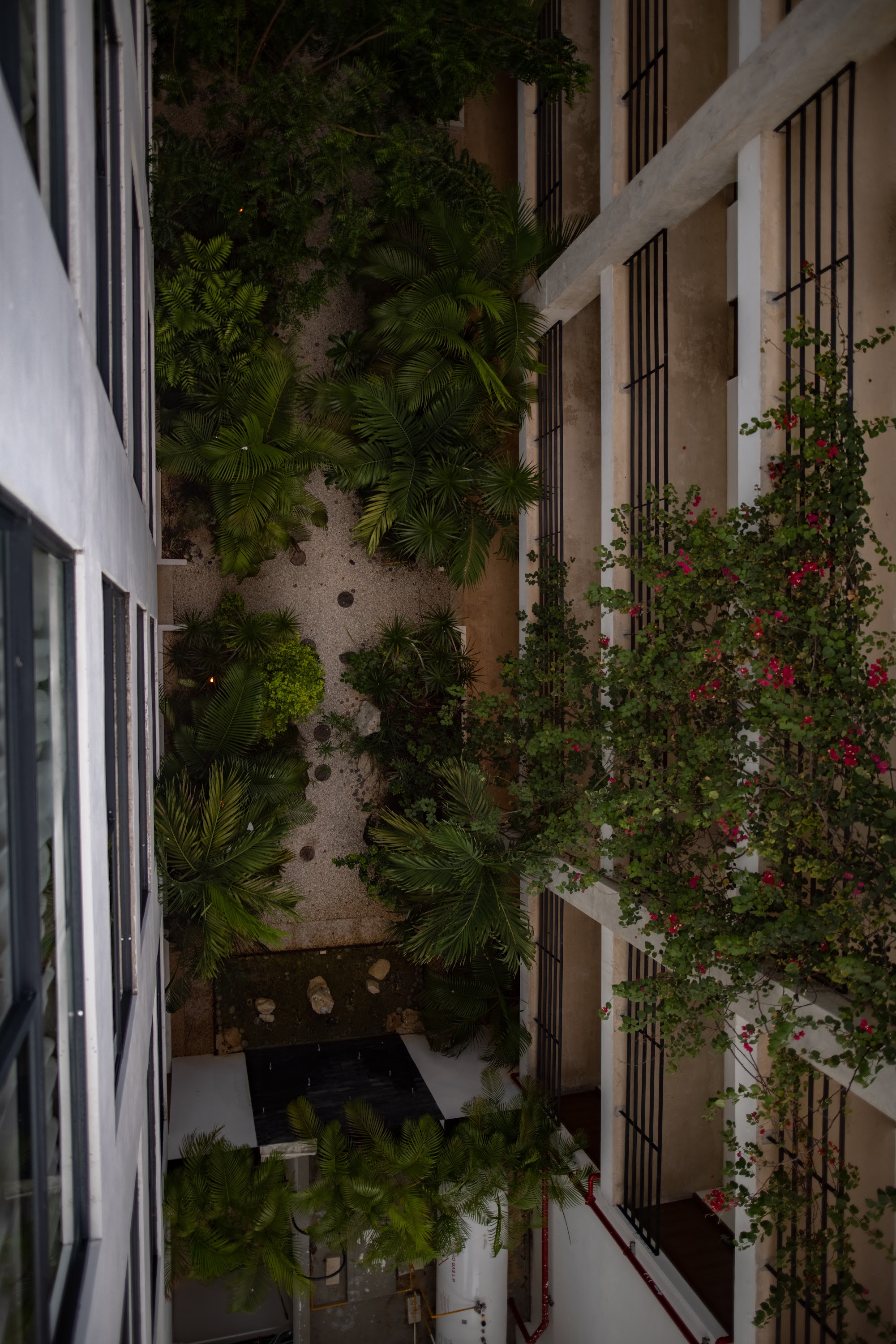 Overhead View of Courtyard Garden Between Modern Buildings