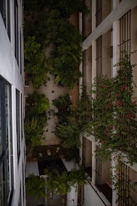 6Y9A8617.jpg