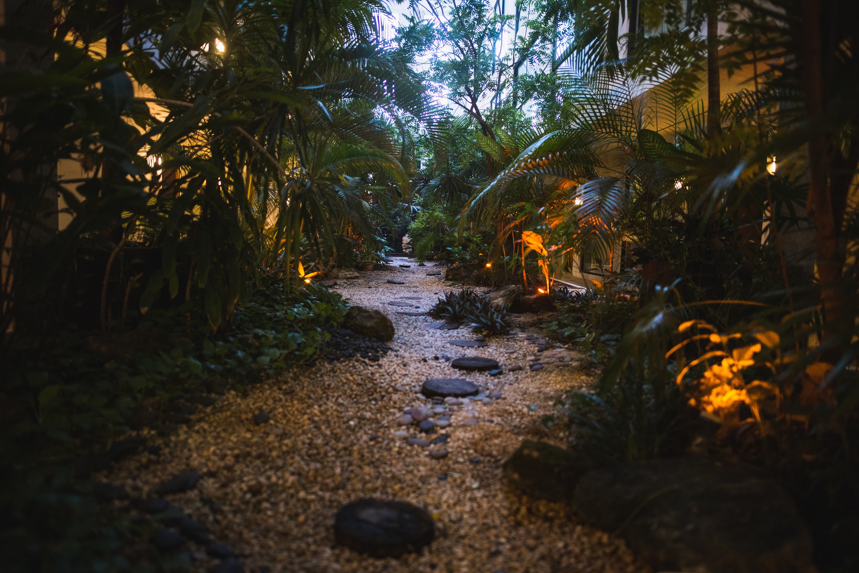 Illuminated Garden Path at Dusk