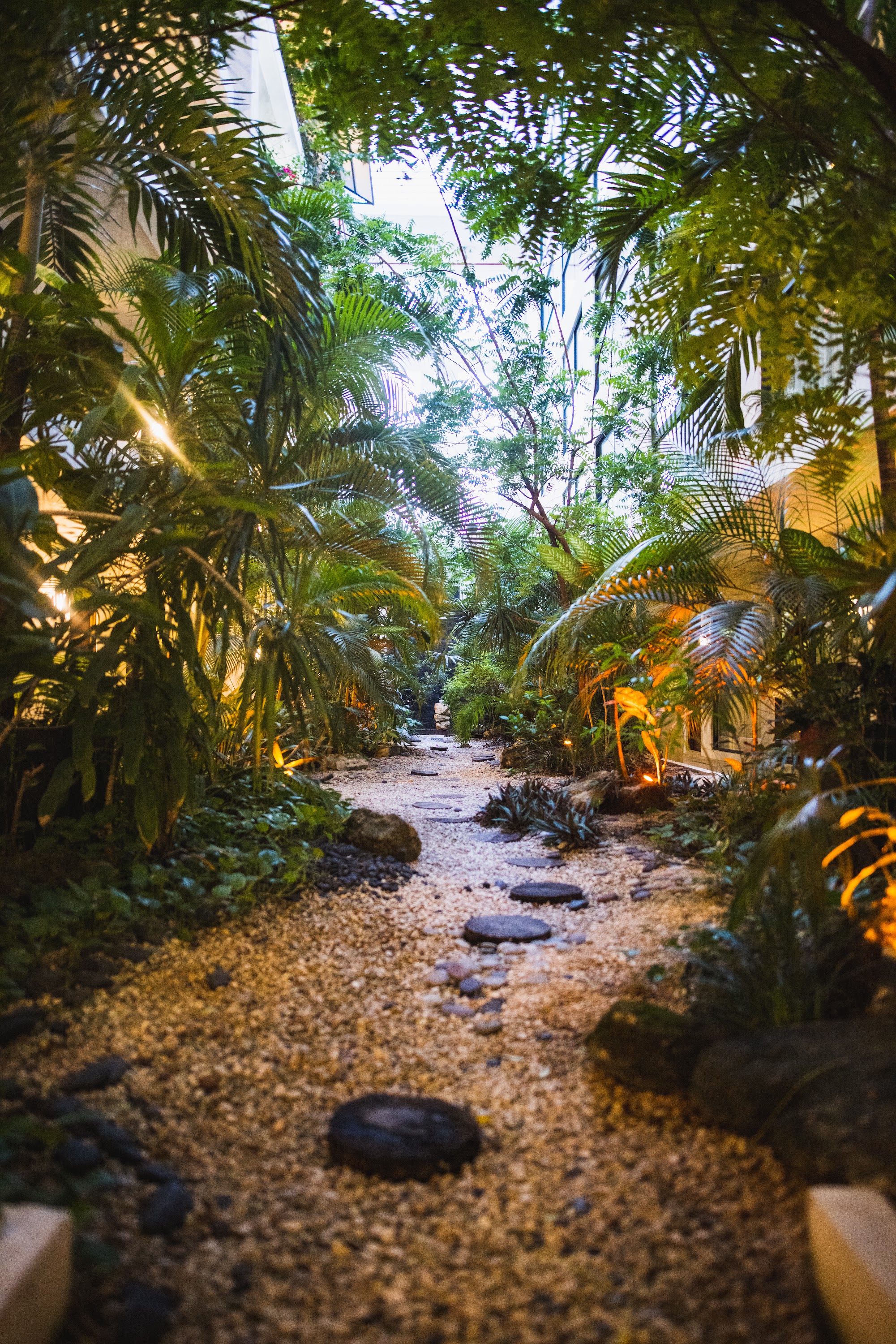 Tropical Garden Pathway with Stone Steps and Warm Lighting