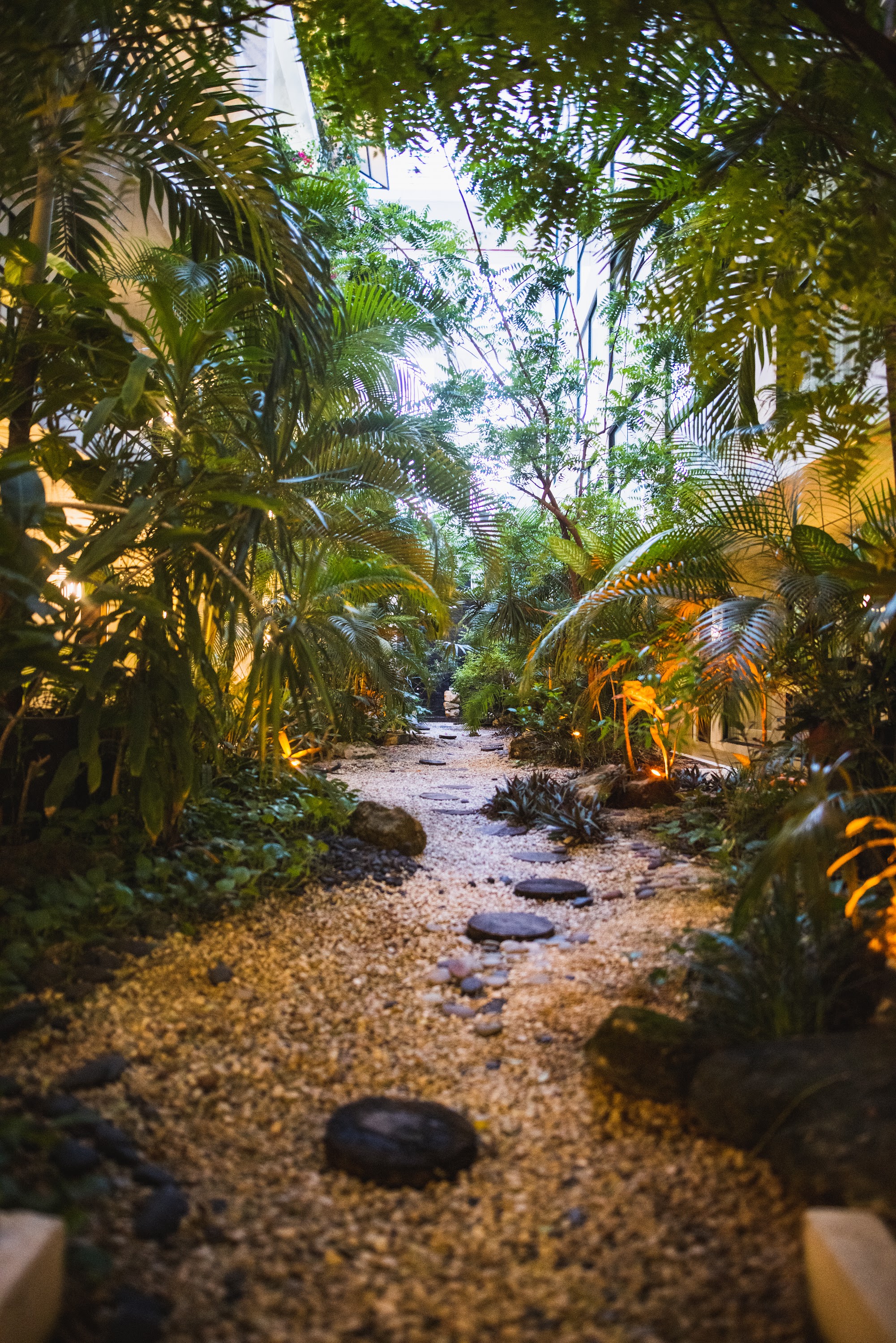 Tropical Garden Pathway with Stone Stepping Stones