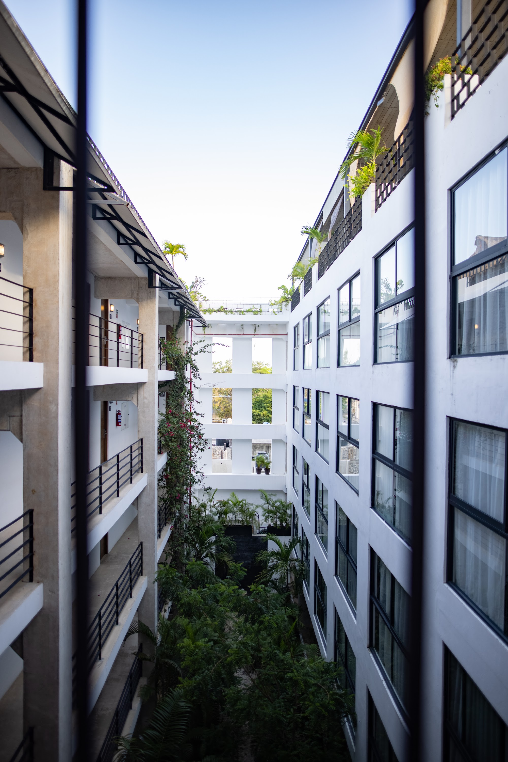 Modern Hotel Courtyard with Greenery and Balconies