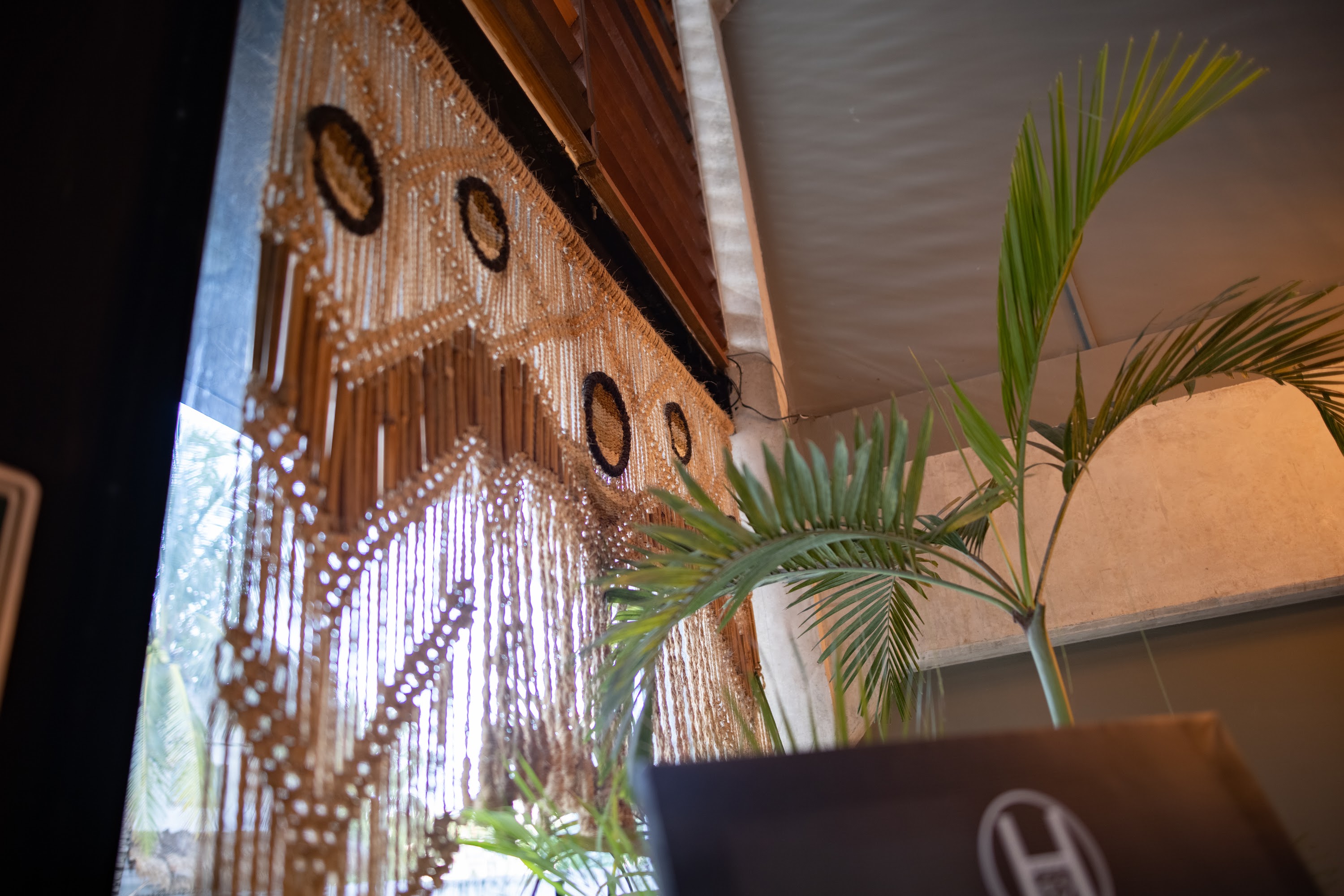 Beaded Curtain and Palm Plant in Indoor Setting