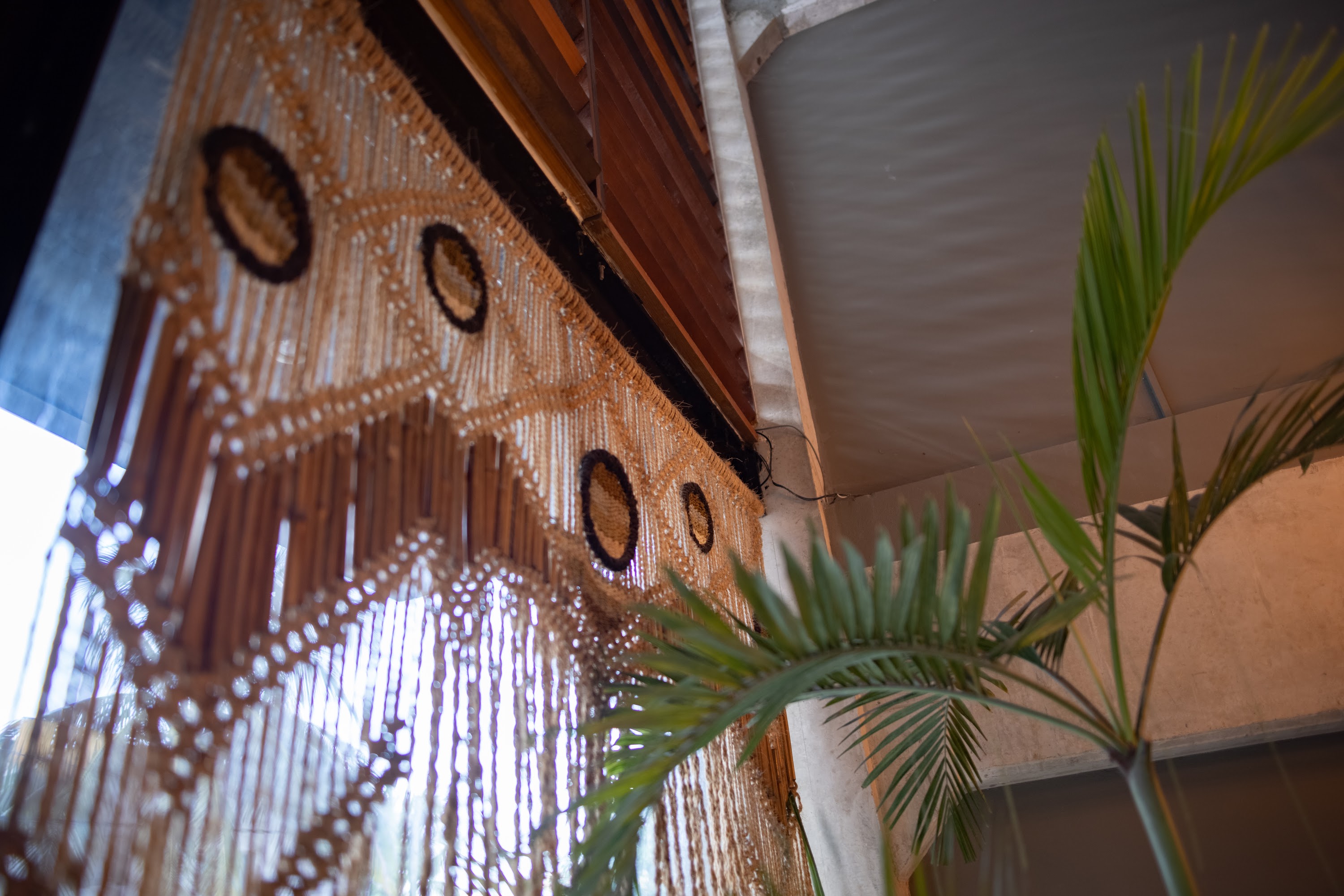 Macramé Beaded Curtain with Palm Plant