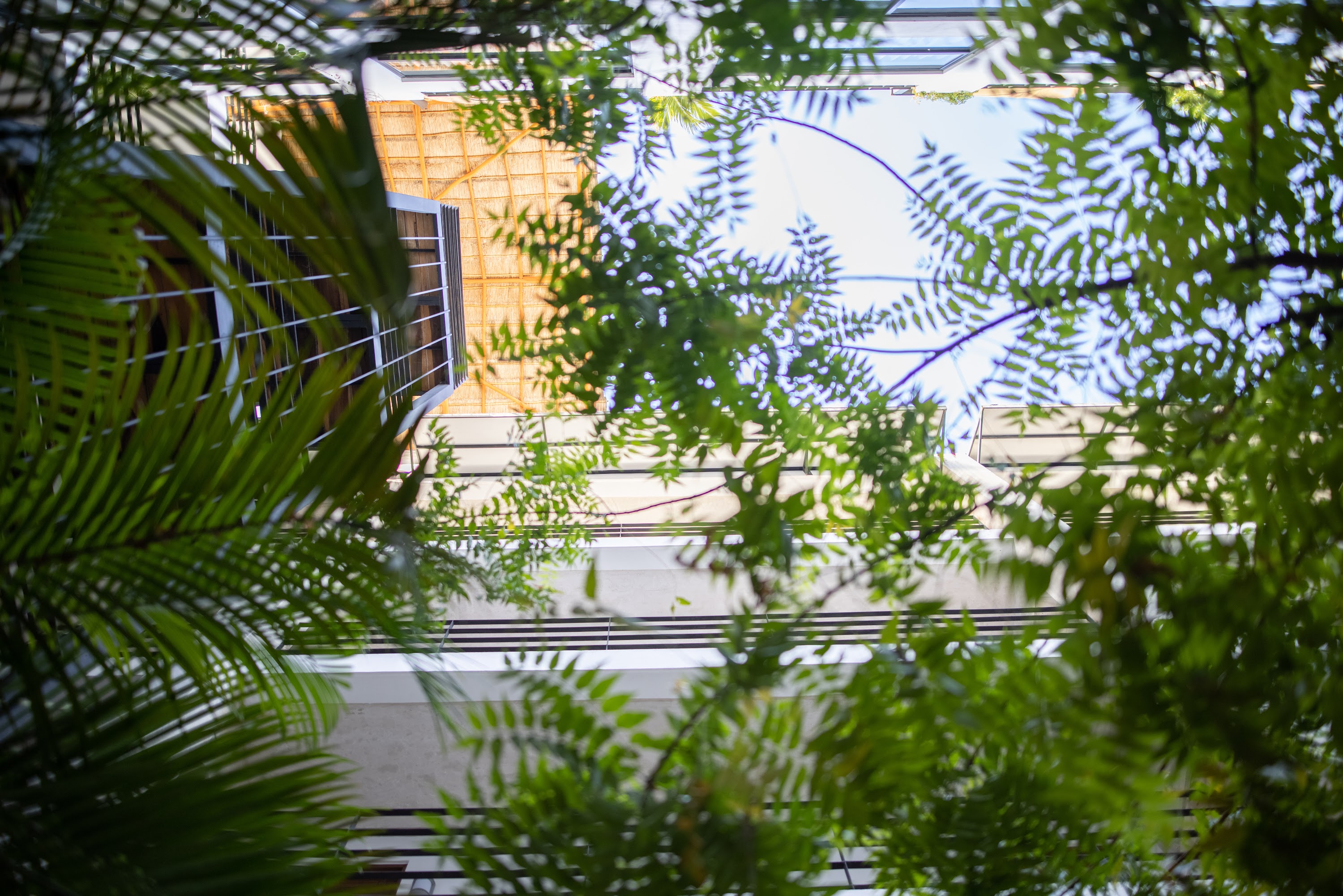 View Through Green Foliage to Building Exterior