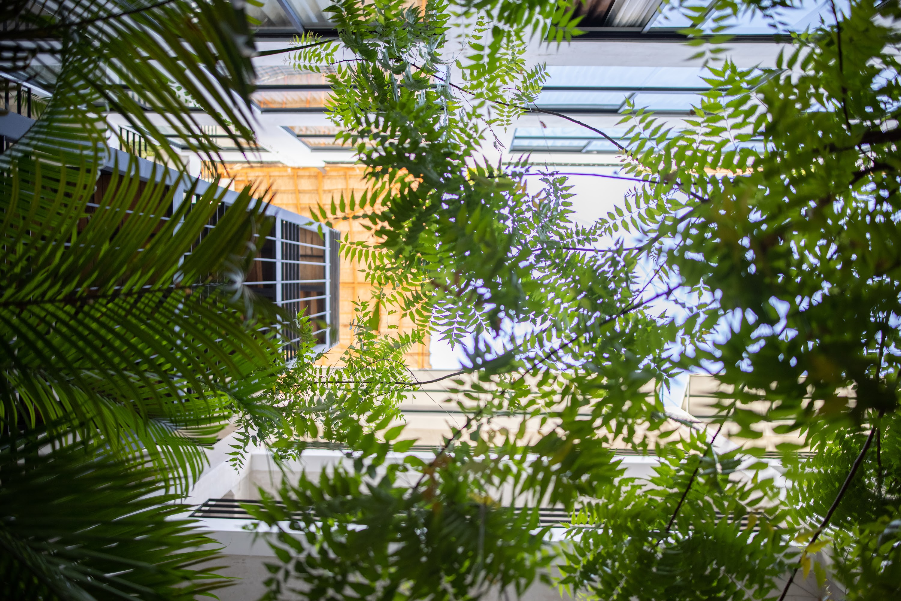 Green Foliage Framing Modern Building Facade