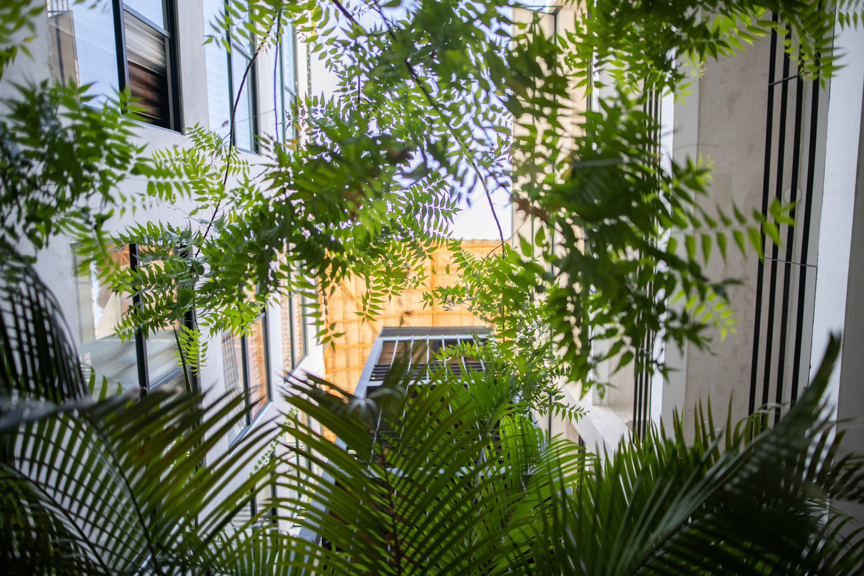 Greenery Framing Modern Building Facade
