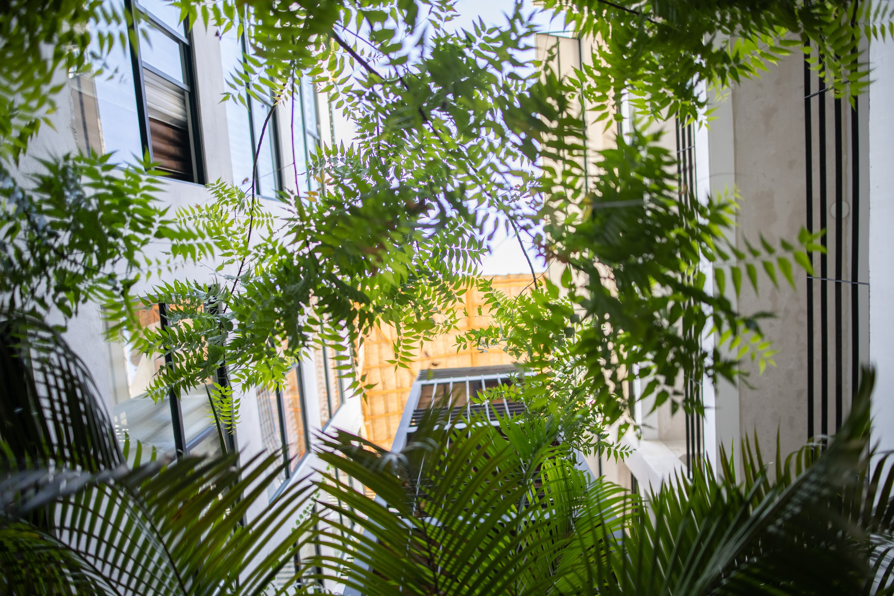 Greenery Framing Modern Building Facade