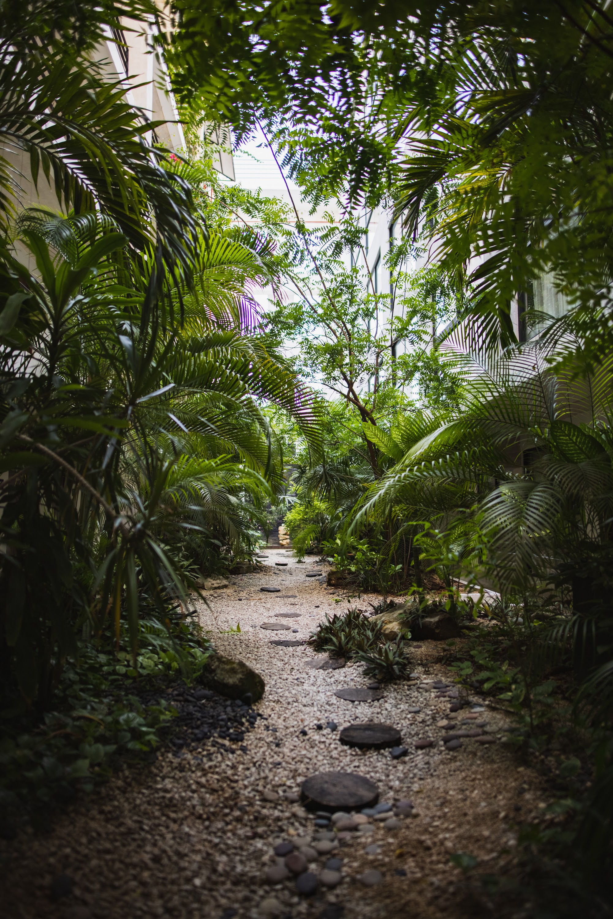 Tropical Garden Pathway