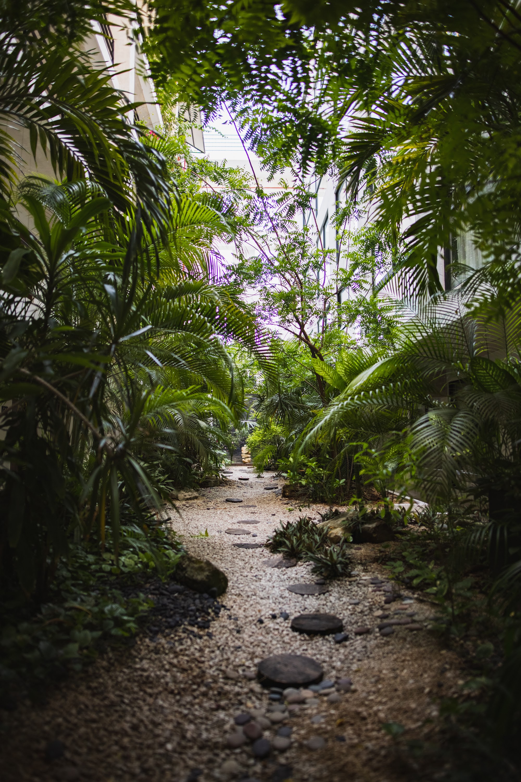 Tropical Garden Pathway