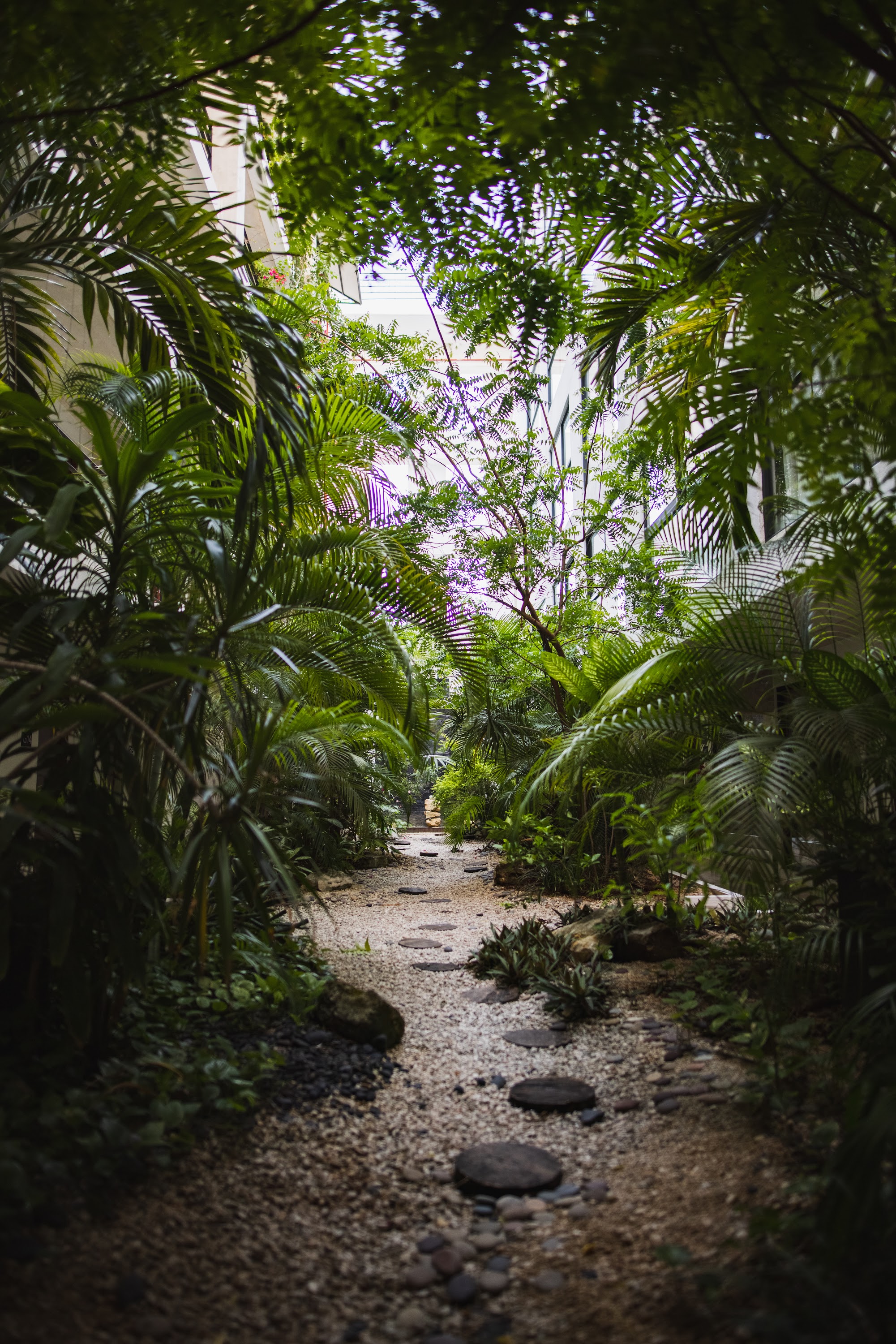 Tropical Garden Pathway