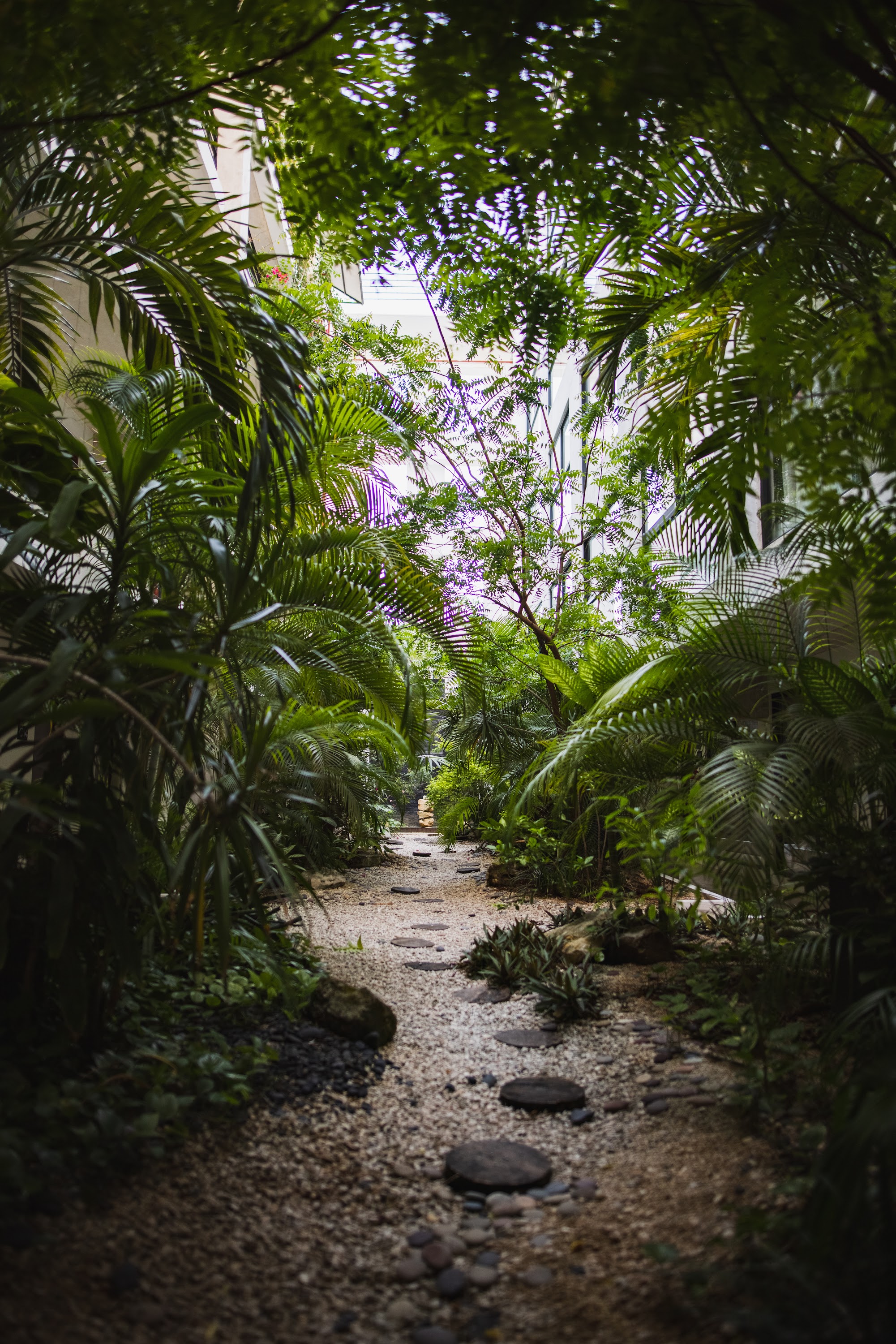 Tropical Garden Pathway