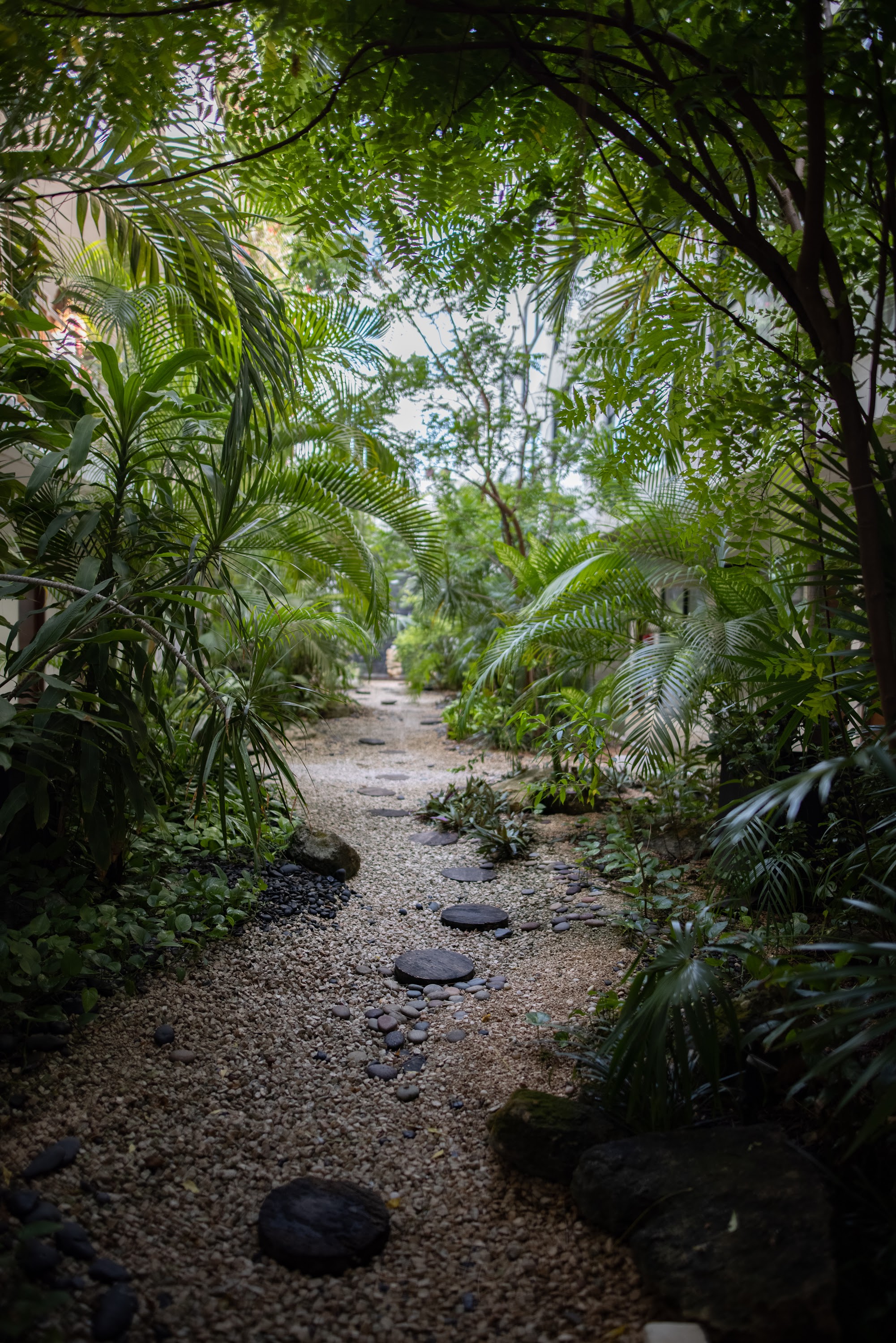 Tropical Garden Pathway