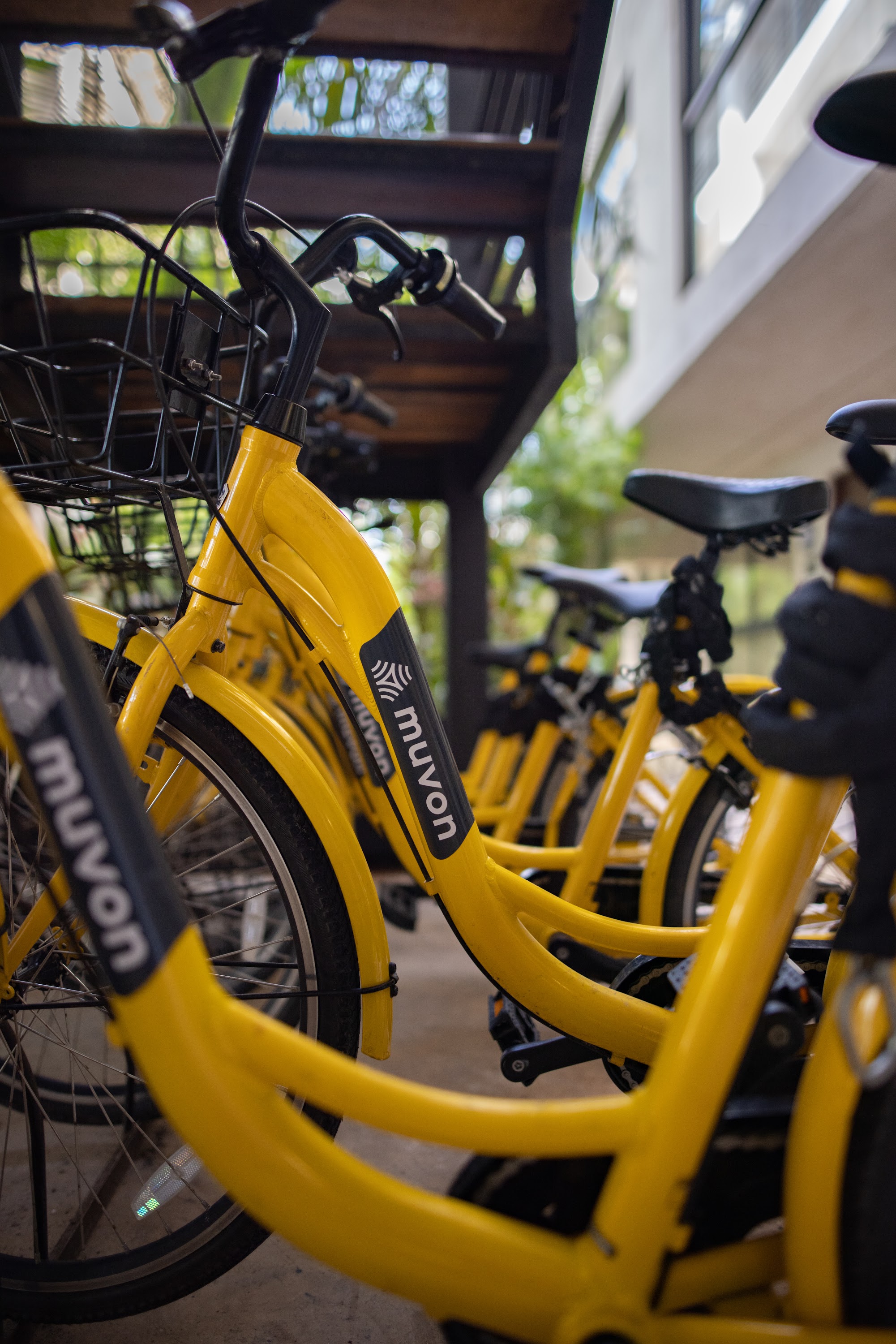 Yellow MUVON Bicycles Parked Under Staircase