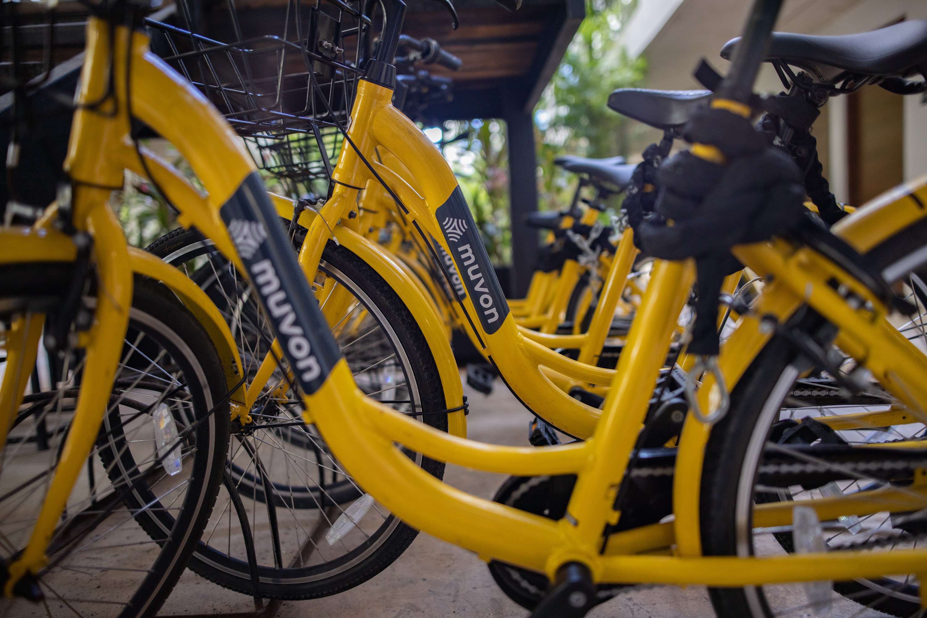 Row of Yellow Muvon Bicycles at Docking Station