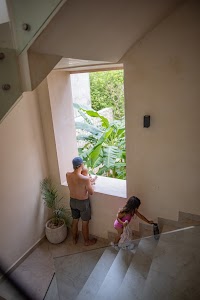 6Y9A2410.jpg
