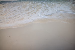 6Y9A2880.jpg