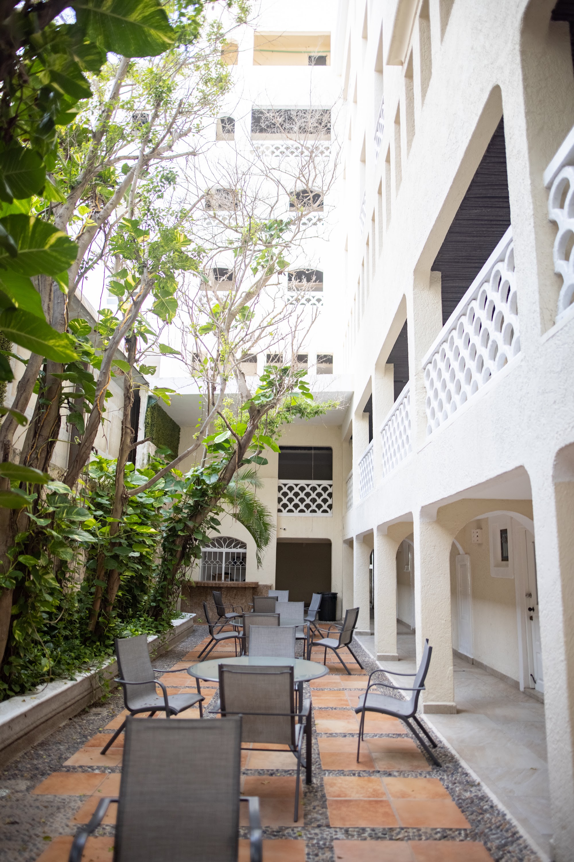Outdoor Courtyard with Seating and Lush Greenery