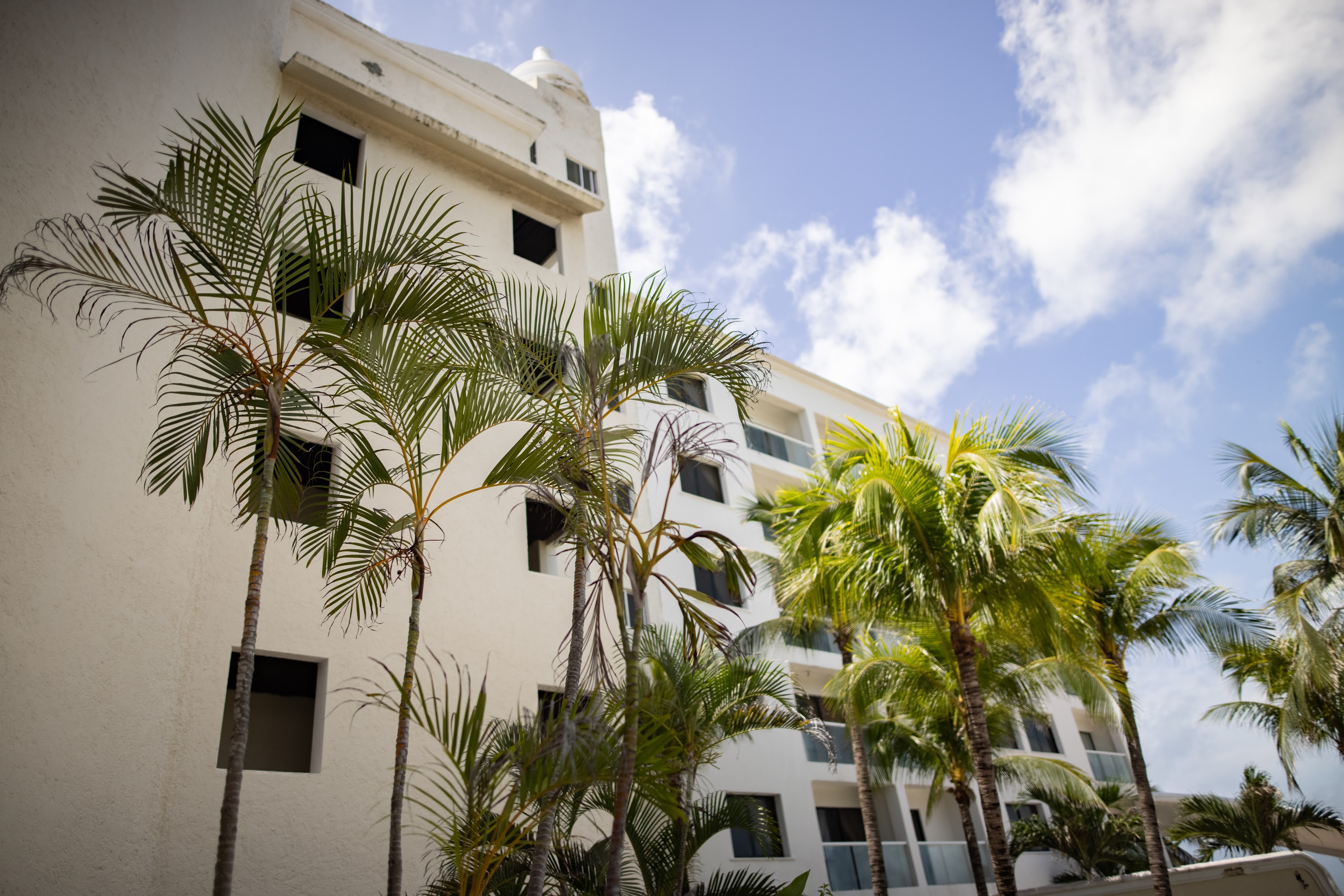 Palm Trees and White Building Under Blue Sky