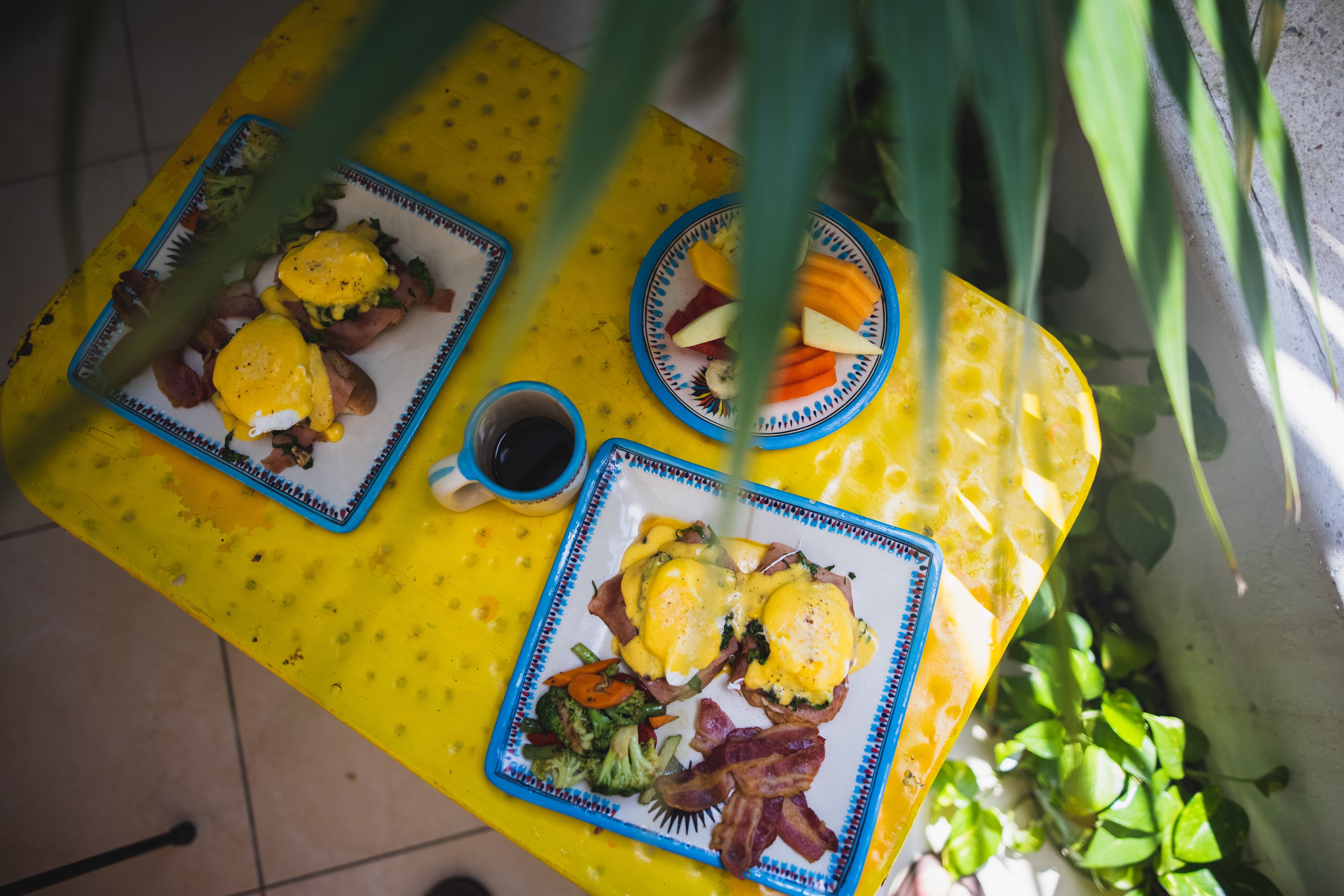 Breakfast in the Sun