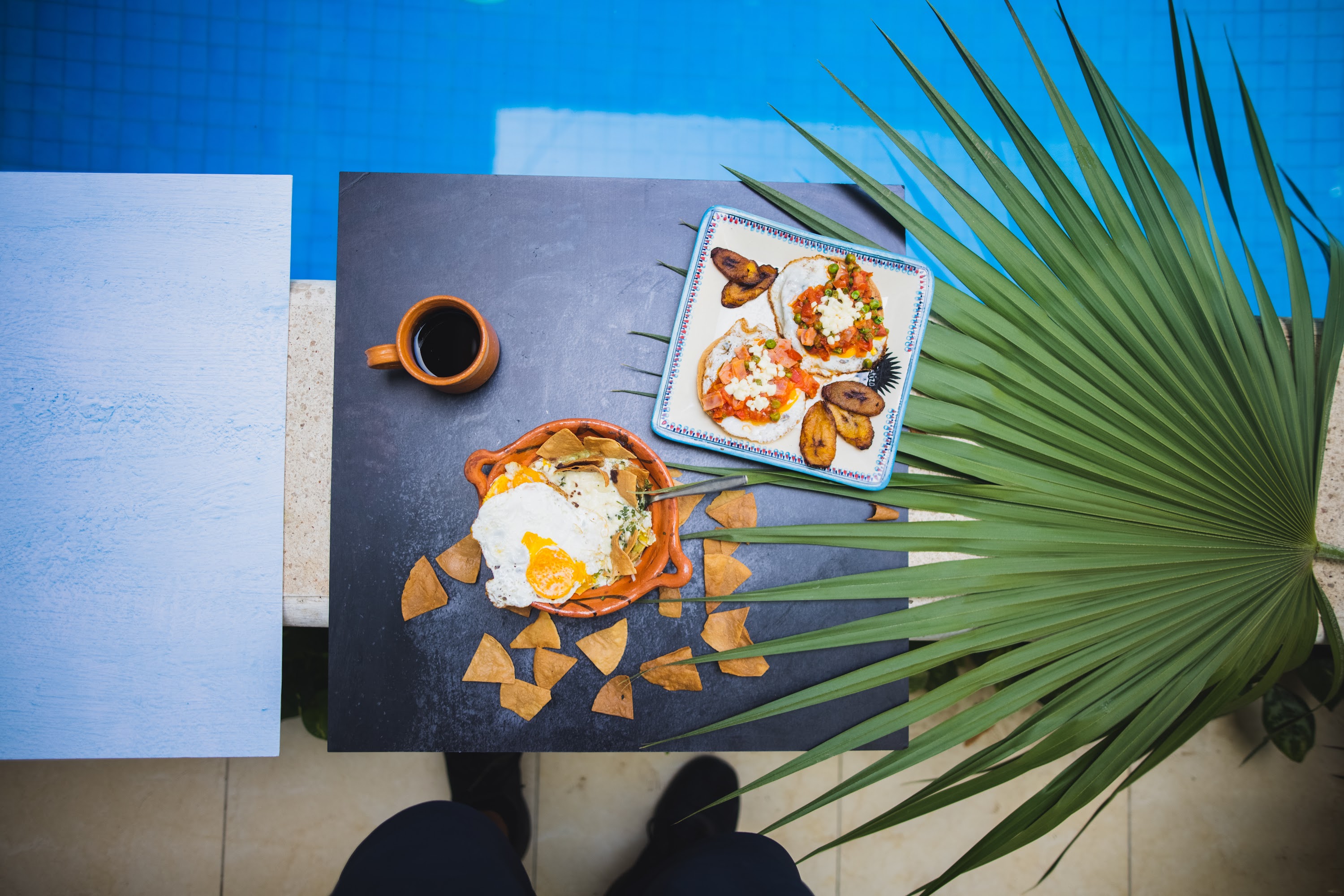 Poolside Breakfast with Tropical Palm Leaf