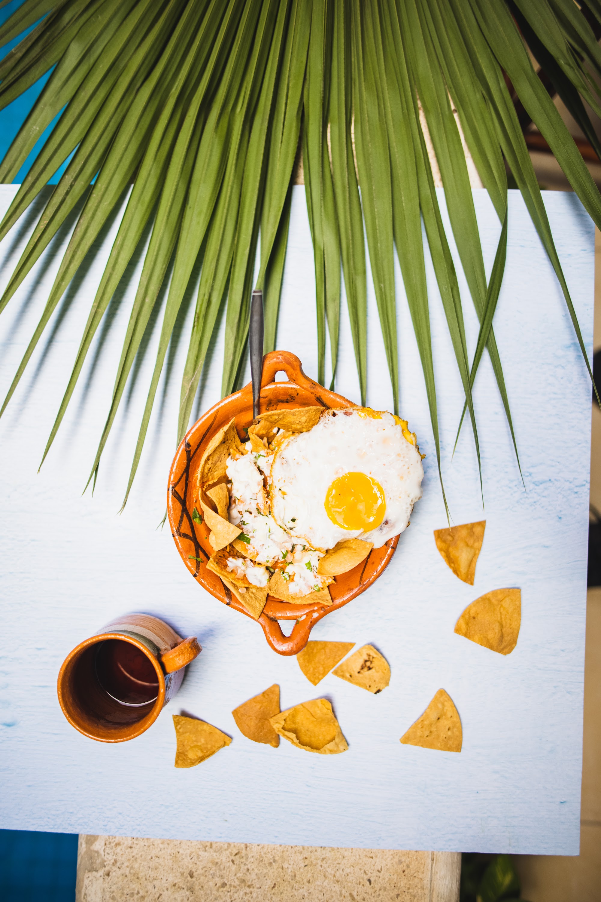 Chilaquiles with Fried Egg and Palm Leaf