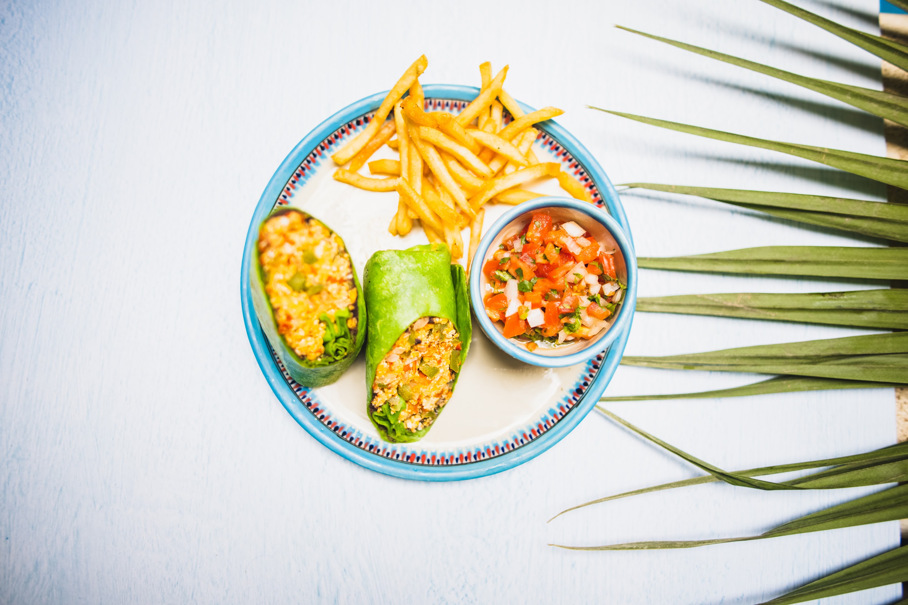 Colorful Plate of Avocado Wraps with Fries and Salsa