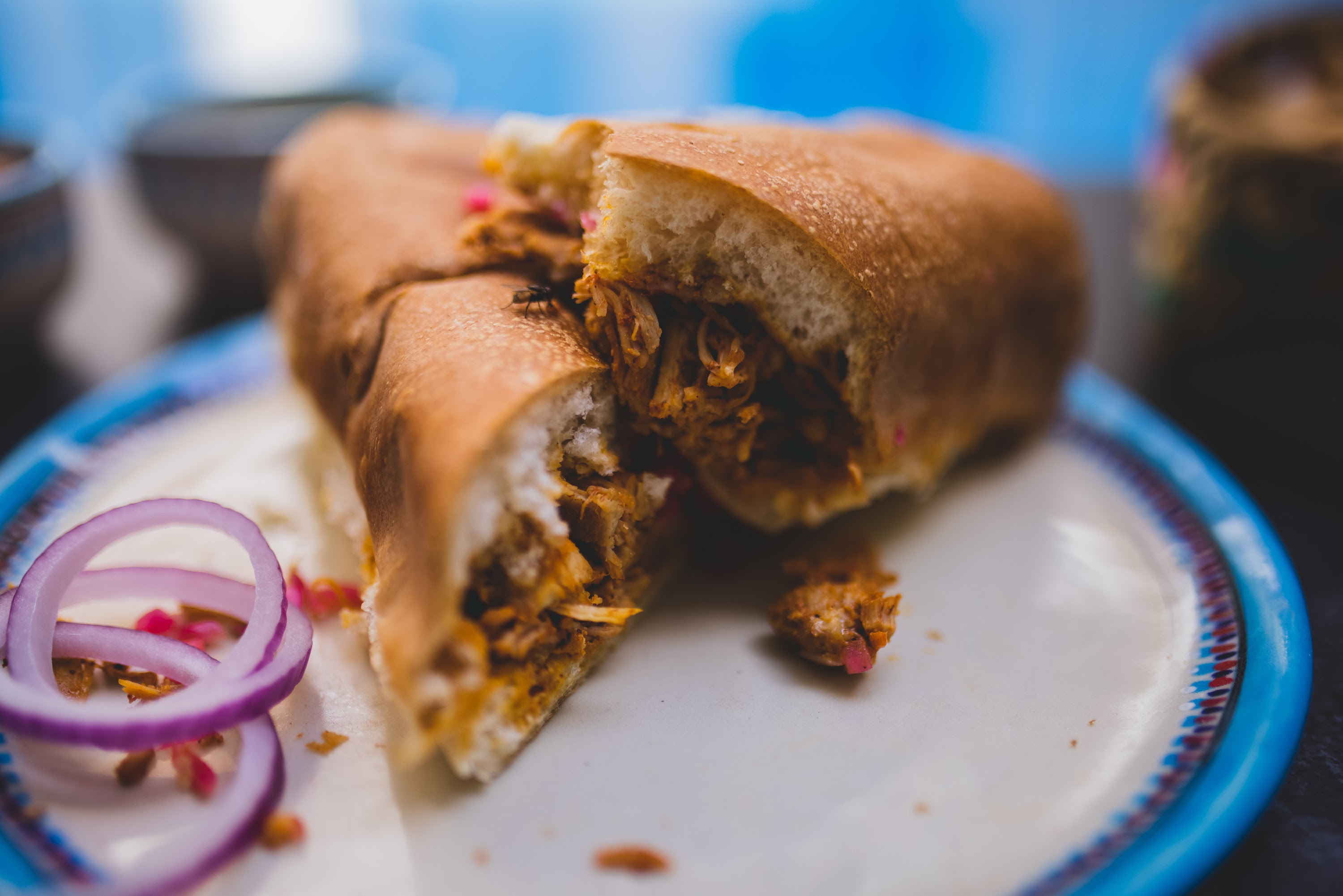 Pulled Pork Sandwich on a Colorful Plate