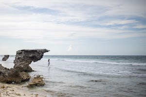 6Y9A0704.jpg