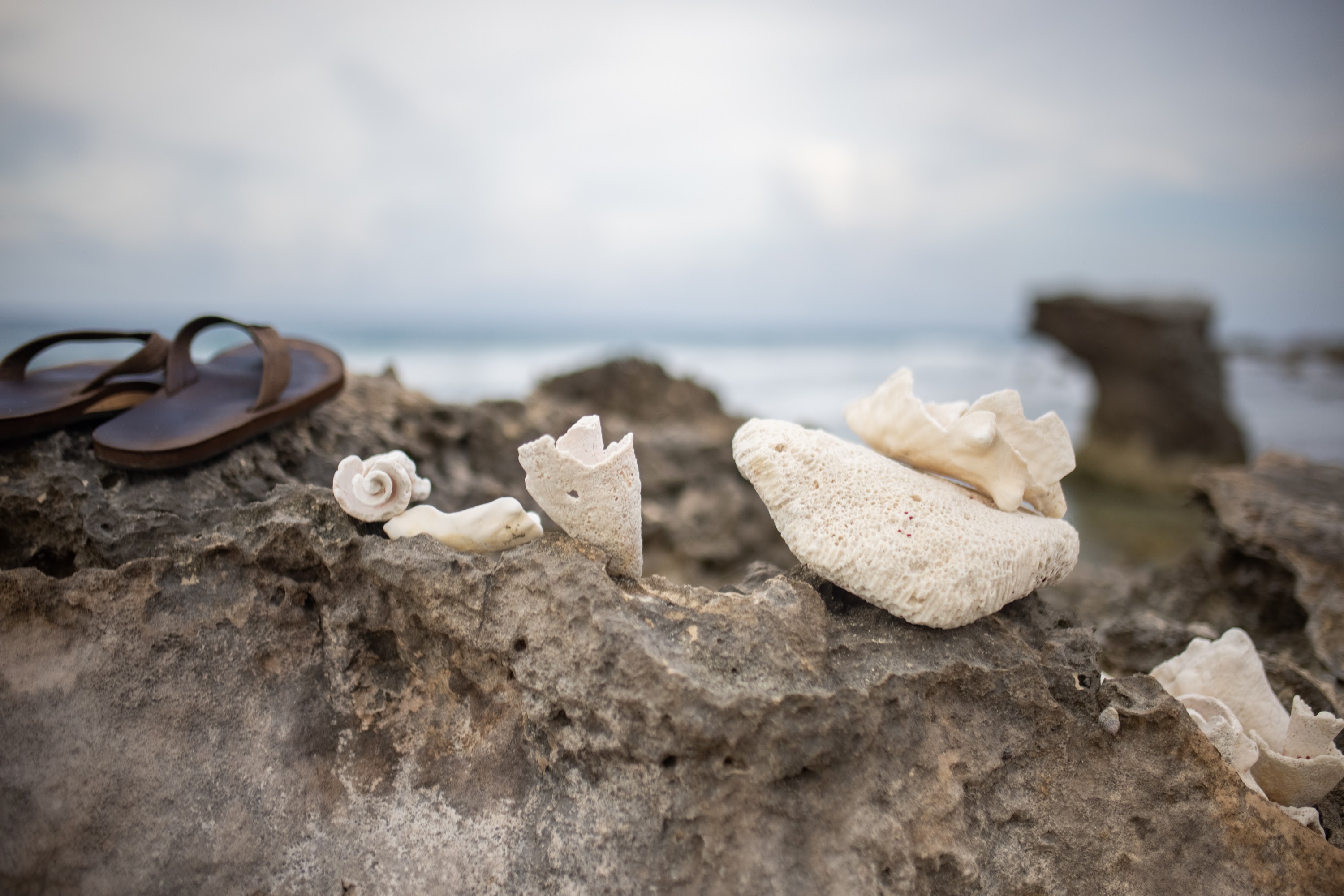Beach Rocks and Coral with Flip-Flops