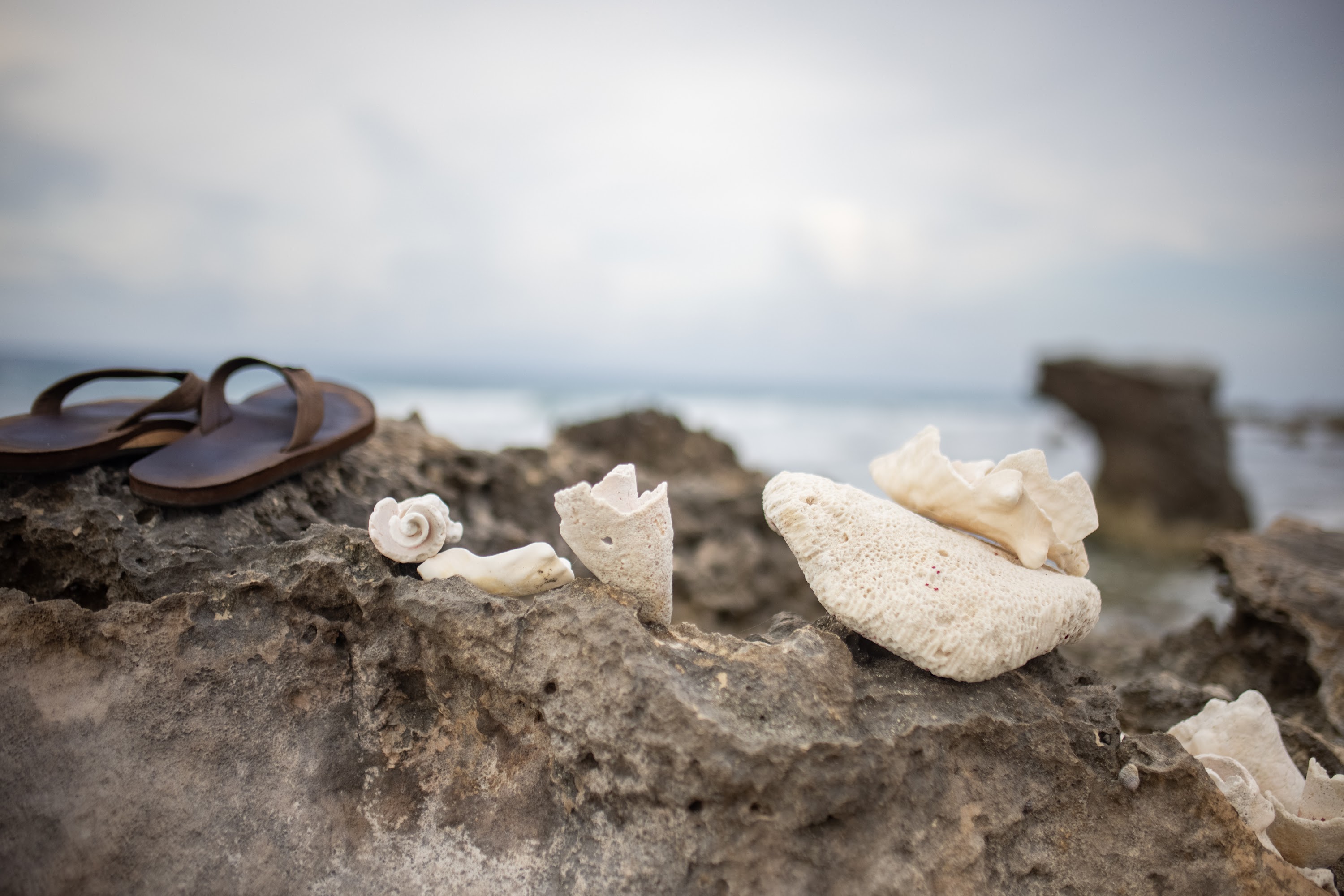 Beach Rocks and Seashells with Flip-Flops