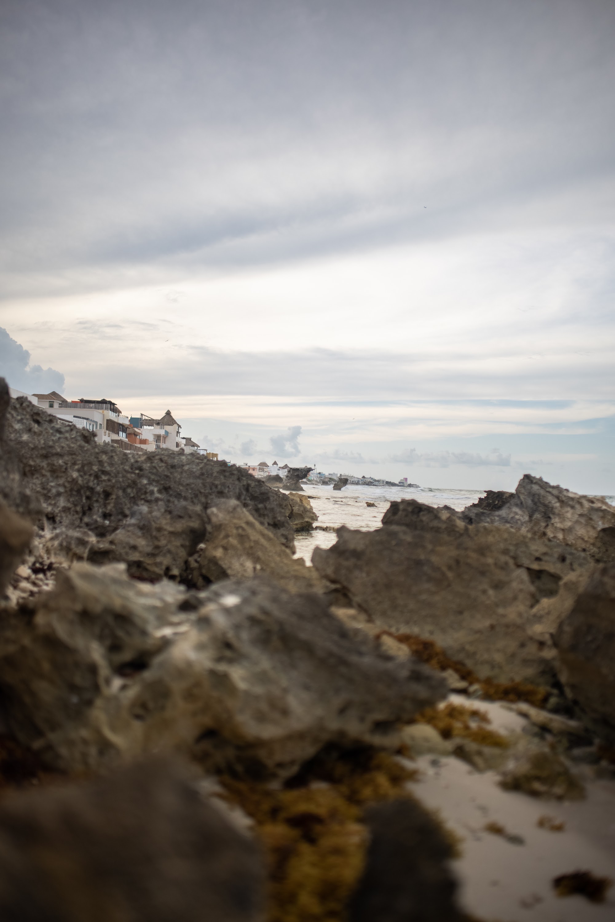 Rocks and Ocean View