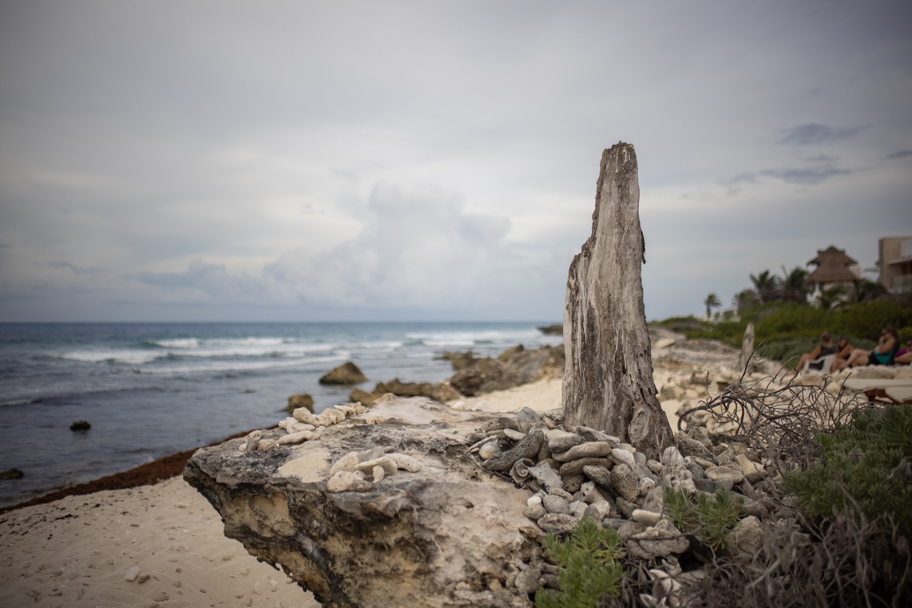 Driftwood and Coral Rocks on a Cloudy Beach