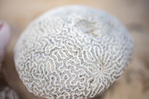 6Y9A0949.jpg