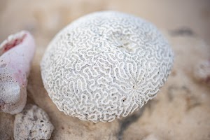 6Y9A0950.jpg