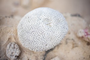 6Y9A0952.jpg