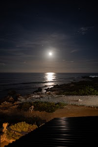 6Y9A0109.jpg