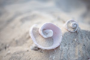 6Y9A0612-2.jpg