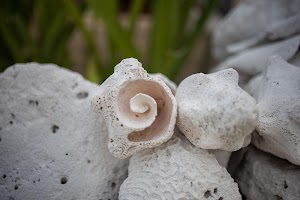 6Y9A0928.jpg