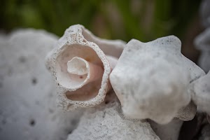 6Y9A0929.jpg