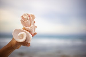 6Y9A0957.jpg