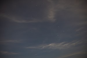 6Y9A9758.jpg