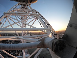 G0010154.JPG