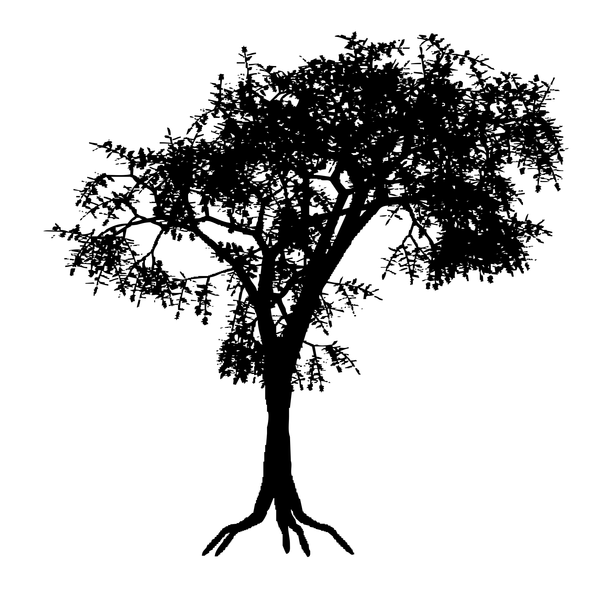 Jan 16, 2022