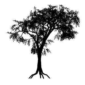 Treee.png