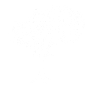 Untitled.png