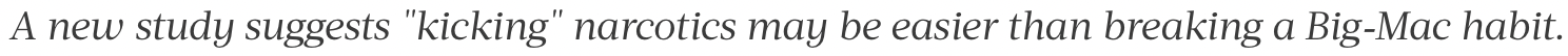 Text Quote About Narcotics Study