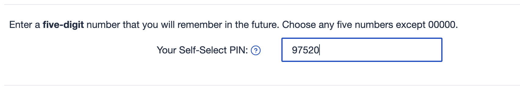 Self-Select PIN Entry Field
