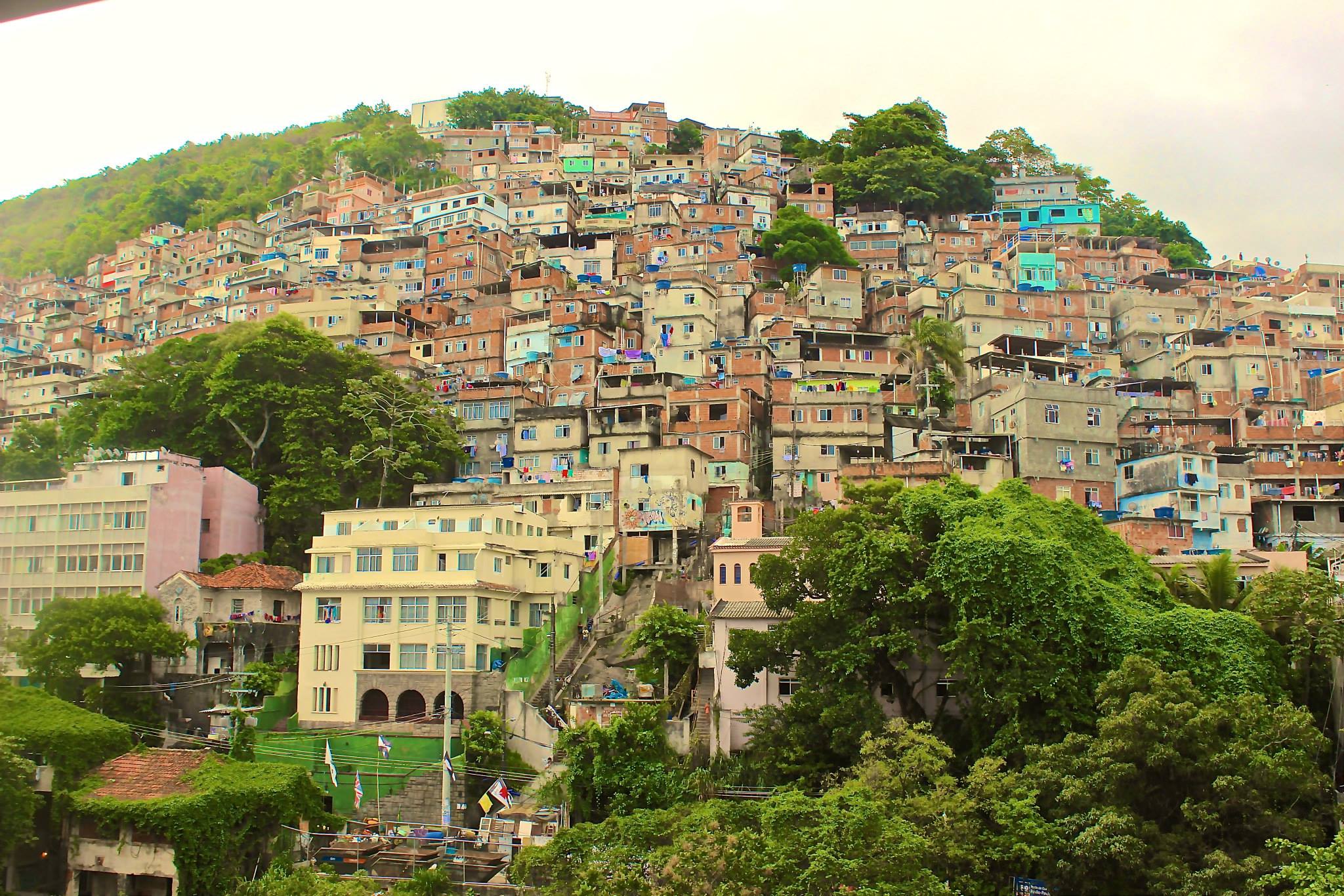 Hillside Favela with Colorful Houses and Greenery